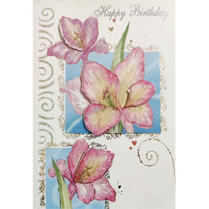 (001) Birthday Card 2 Folder