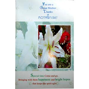 (02) Mother's Day card 2 folder