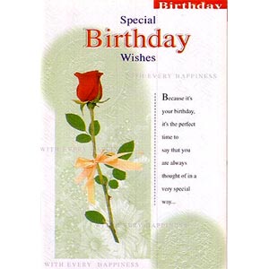 (16) Birthday Card 2 Folder