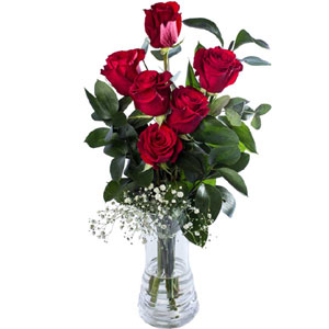 (05) 6 Pcs Roses in a vase