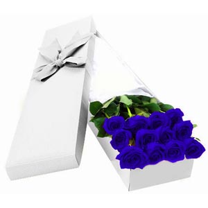 (14) 12 pcs Blue Roses in box. 