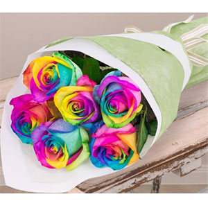 (18) 6pcs Rainbow Rose in a bouquet