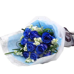 (09) 8 pcs Blue Roses in a bouquet. 