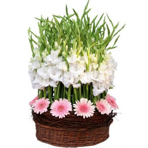 (13) Pink & White flower in basket