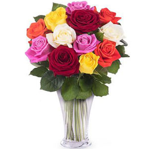 (17) Multicolor roses in a vase