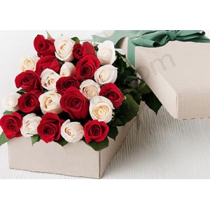 (009) 2 dozen off white & red roses mix in a box