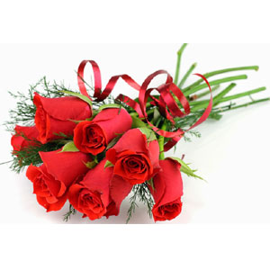 (003) 8 pcs red roses in a bouquet