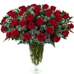 (36) 34 pieces red roses in a vase