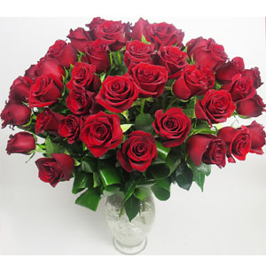 (38) 48 pieces red roses in a vase