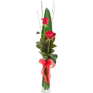 6 Best Reasons to Send Flowers to Your Loved Ones