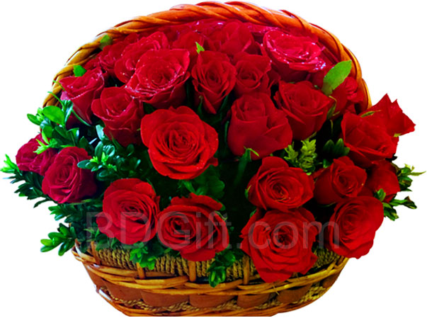 How to choose best valentine flower for your loved ones