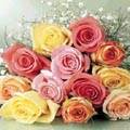 Roses Bouquet for your Love in Bangladesh
