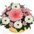 (F5) Mixed Flower Baskets