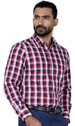 Long sleeve formal stripe Shirt