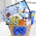 Beautiful Baby Basket for baby boy