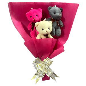  Mixedcolor 3 pcs Teddy key ring in a bouquet