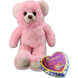 Bear W/ Chocolates