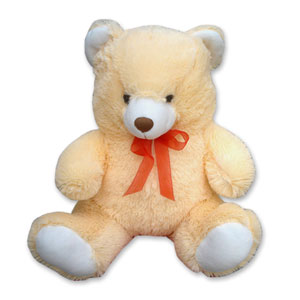 Big Teddy Bear 24 inch