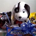 Puppy w/ chocolate