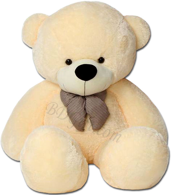 teddy bear in white colour