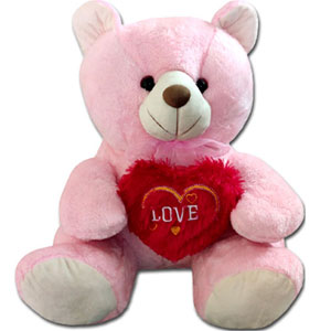 Big Teddy Bear 24 inch