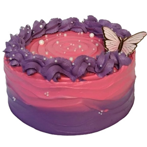 Mini  Butterfly Cake