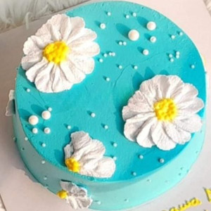 Mini Cake 