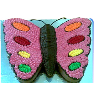 (61) Yummy Yummy- 8.8 Pounds Vanilla butterfly shape Cake