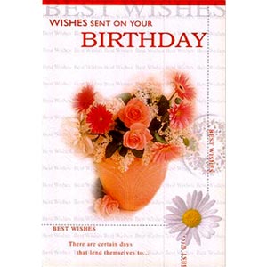 (18) Birthday Card 2 Folder