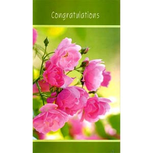 (61) Congratulations Card 2 Folder