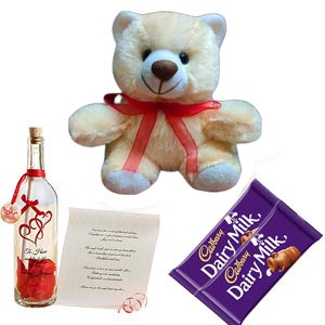 Teddy bear W/ Message in a Bottle and Chocolate