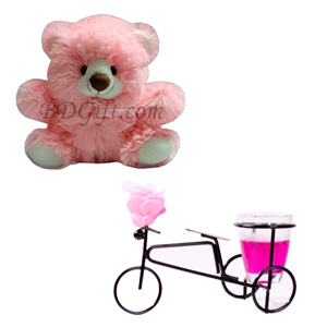 Teddy Jelly Cycle Delight
