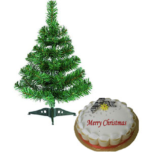 (0008) Christmas tree W/ Cake