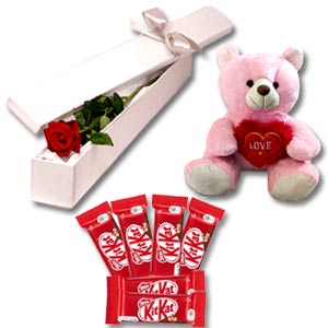 (002) 1 Piece Rose W/ Teddy & Kit Kat