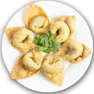 (09) Wonton 1 Dish