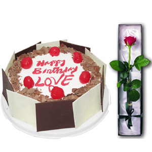 (60) King's Black Forest Cake W/1 piece Rose