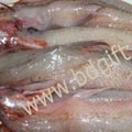 Fish - Luita 1 KG