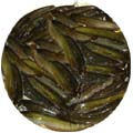 Fish - Shingh Fish 2 KG