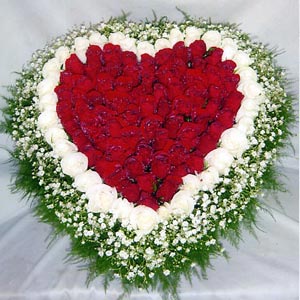 (09) Heart Shaped Roses W/101 Roses