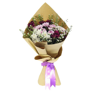 Vibrant Mum Mix