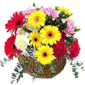 Gerbera & Carnations in basket