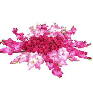 Graceful Gladiolus & Radiant Red Roses 