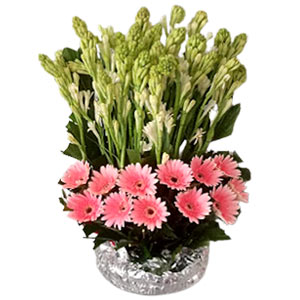  Gerbera and Rajanigandha in a Basket