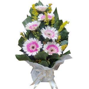 Imported Gerbera in a basket