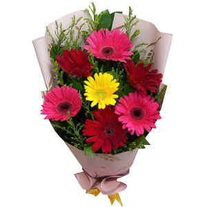 Mixed Gerberas in Bouquet