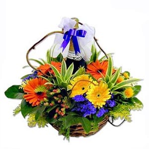 Gerbera Basket W/ Sparkling Juice