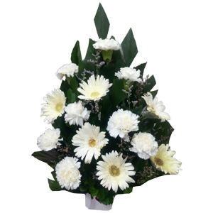 White Gerbera & Carnation in Basket