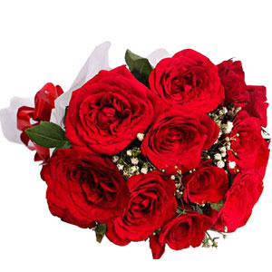 1 Dozen Red Roses 