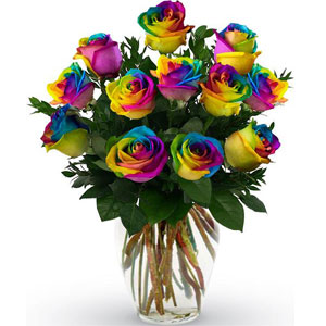 (22) 12pcs Rainbow Roses in a Vase