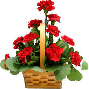 Carnations in a basket